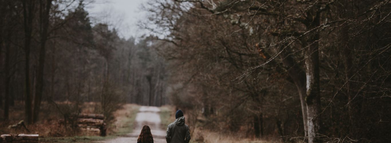 Annie spratt New Forest