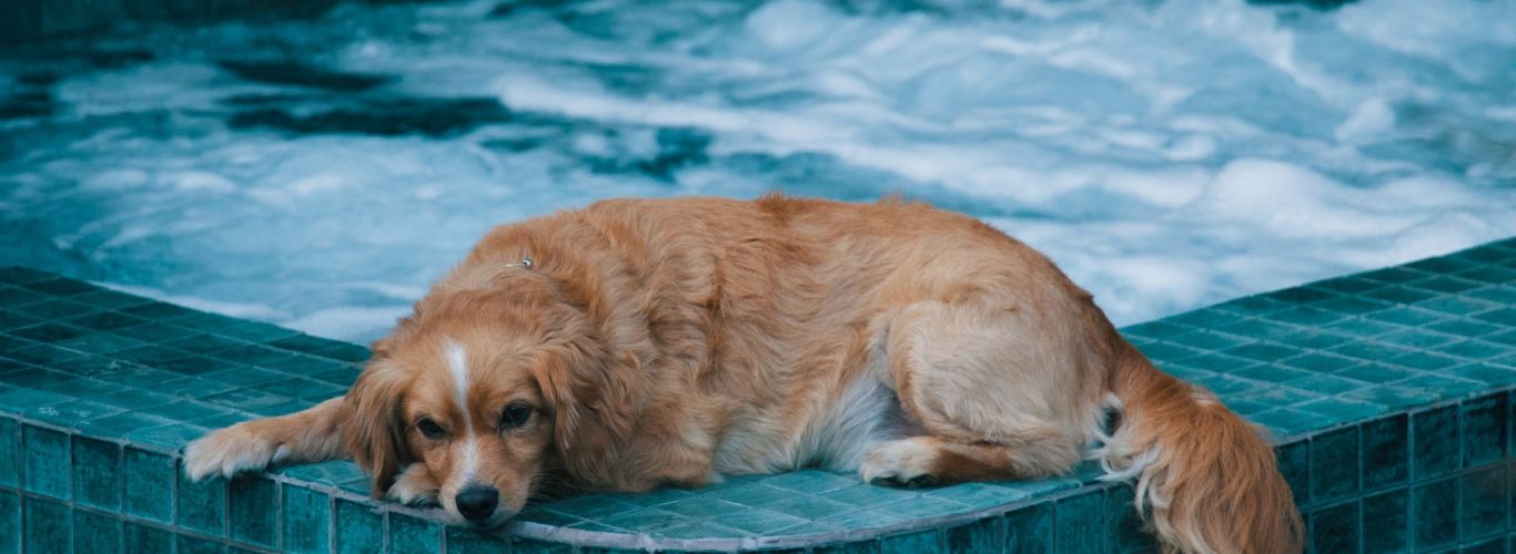 Jakob dalbjorn unsplash Hot Tub