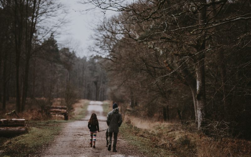 Annie spratt New Forest